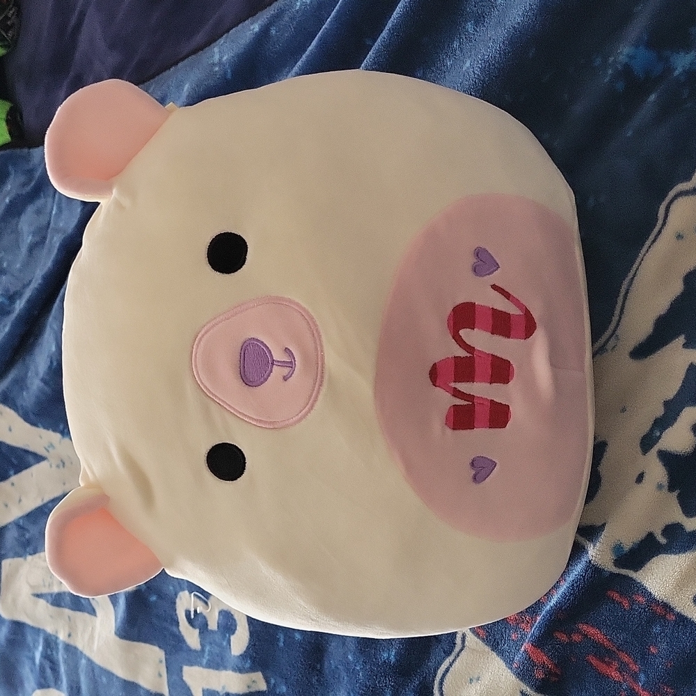 Brooke the Bear Valentines Squishmallow